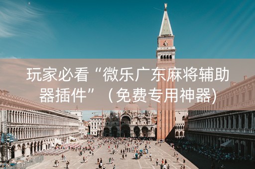 玩家必看“微乐广东麻将辅助器插件”（免费专用神器)