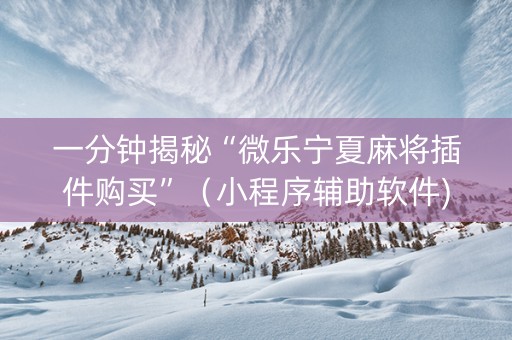 一分钟揭秘“微乐宁夏麻将插件购买”（小程序辅助软件)