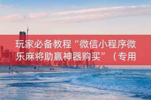 玩家必备教程“微信小程序微乐麻将助赢神器购买”（专用神器)