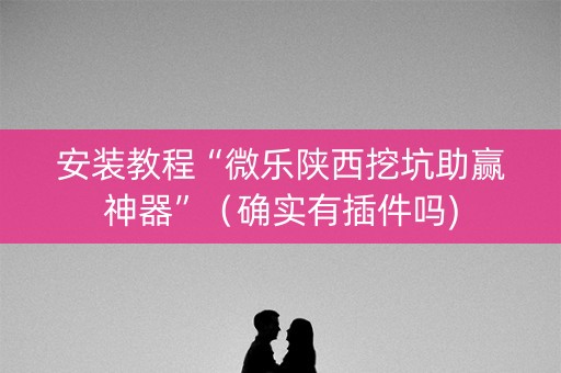 安装教程“微乐陕西挖坑助赢神器”（确实有插件吗)