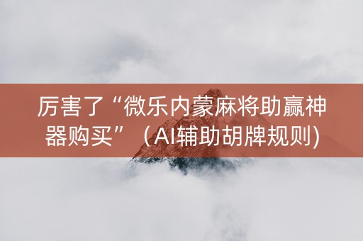 厉害了“微乐内蒙麻将助赢神器购买”（AI辅助胡牌规则)