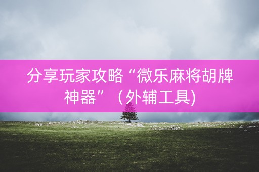 分享玩家攻略“微乐麻将胡牌神器”（外辅工具)