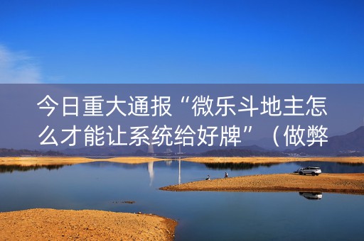 今日重大通报“微乐斗地主怎么才能让系统给好牌”（做弊器软件下载)