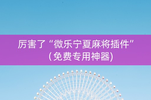 厉害了“微乐宁夏麻将插件”（免费专用神器)
