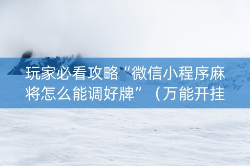 玩家必看攻略“微信小程序麻将怎么能调好牌”（万能开挂器)
