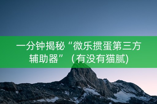 一分钟揭秘“微乐掼蛋第三方辅助器”（有没有猫腻)