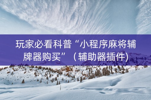 玩家必看科普“小程序麻将辅牌器购买”（辅助器插件)