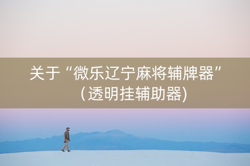 关于“微乐辽宁麻将辅牌器”（透明挂辅助器)