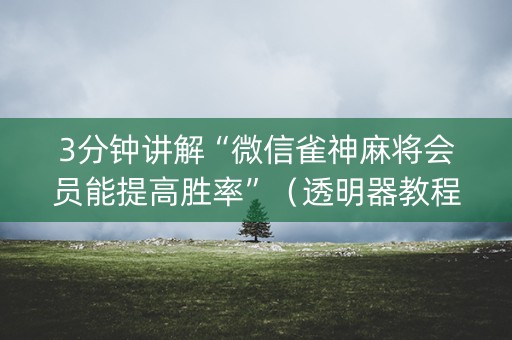3分钟讲解“微信雀神麻将会员能提高胜率”（透明器教程)