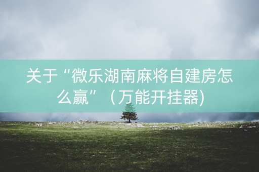 关于“微乐湖南麻将自建房怎么赢”（万能开挂器)