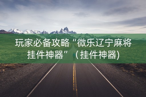 玩家必备攻略“微乐辽宁麻将挂件神器”（挂件神器)
