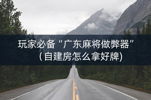 玩家必备“广东麻将做弊器”（自建房怎么拿好牌)