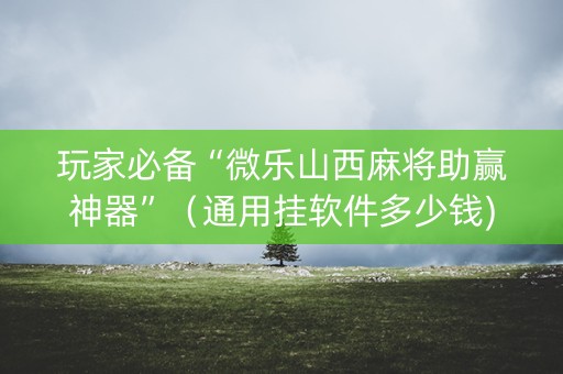 玩家必备“微乐山西麻将助赢神器”（通用挂软件多少钱)