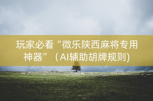 玩家必看“微乐陕西麻将专用神器”（AI辅助胡牌规则)