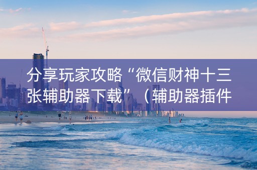 分享玩家攻略“微信财神十三张辅助器下载”（辅助器插件)