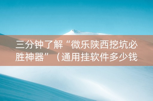 三分钟了解“微乐陕西挖坑必胜神器”（通用挂软件多少钱)