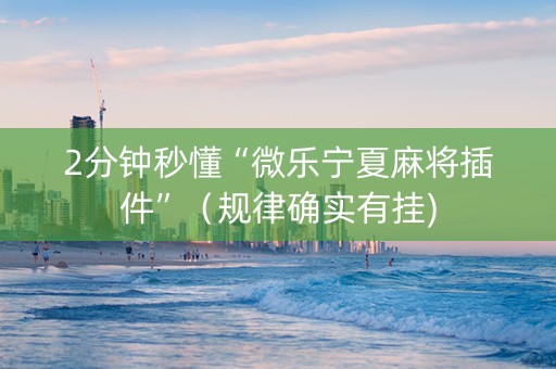 2分钟秒懂“微乐宁夏麻将插件”（规律确实有挂)