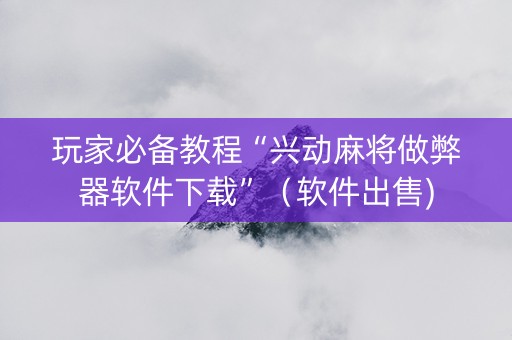 玩家必备教程“兴动麻将做弊器软件下载”（软件出售)