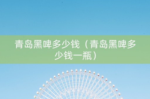 青岛黑啤多少钱（青岛黑啤多少钱一瓶）