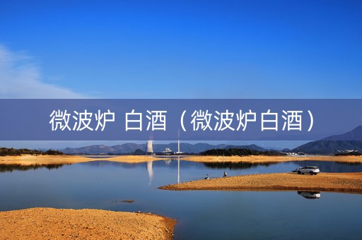 微波炉 白酒（微波炉白酒）