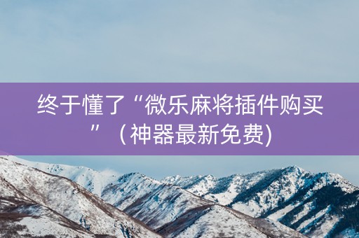 终于懂了“微乐麻将插件购买”（神器最新免费)
