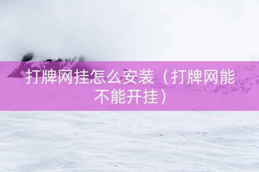 打牌网挂怎么安装（打牌网能不能开挂）
