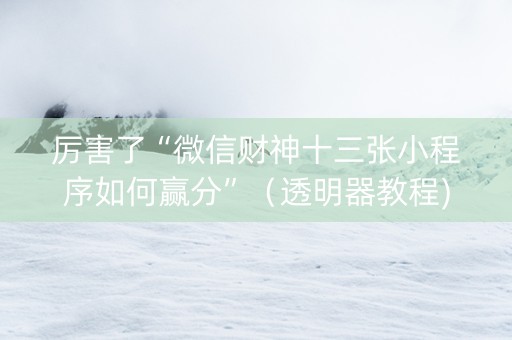 厉害了“微信财神十三张小程序如何赢分”（透明器教程)