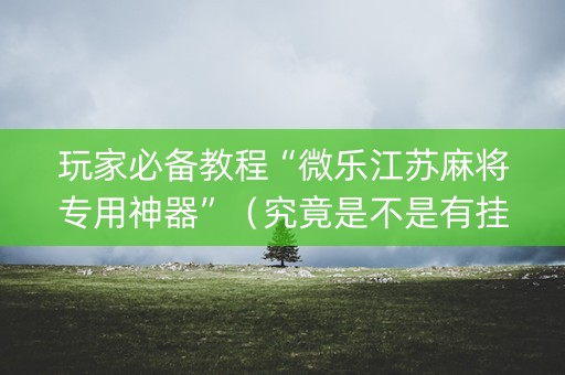 玩家必备教程“微乐江苏麻将专用神器”（究竟是不是有挂)