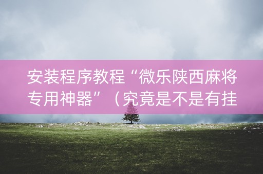 安装程序教程“微乐陕西麻将专用神器”（究竟是不是有挂)