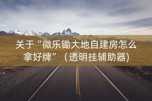 关于“微乐锄大地自建房怎么拿好牌”（透明挂辅助器)