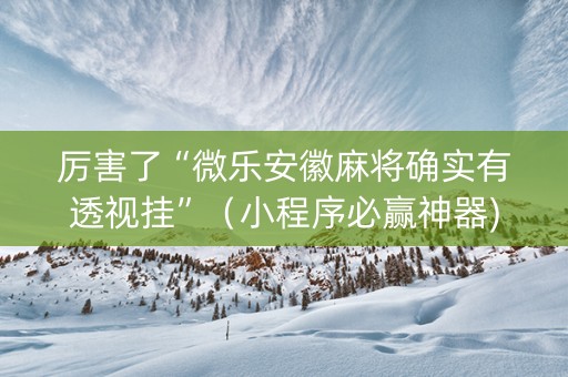 厉害了“微乐安徽麻将确实有透视挂”（小程序必赢神器)
