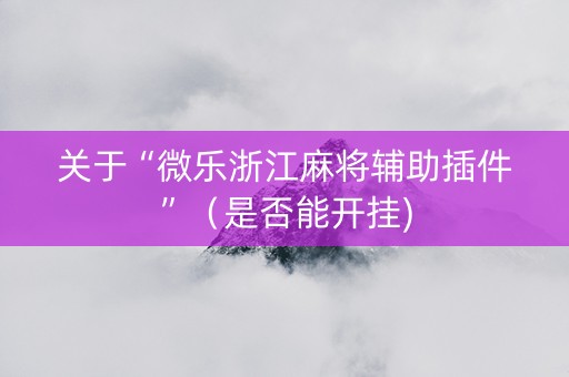 关于“微乐浙江麻将辅助插件”（是否能开挂)