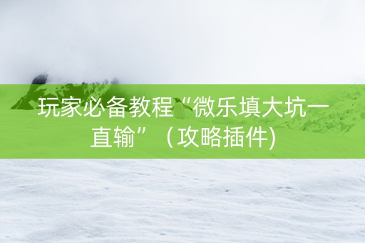 玩家必备教程“微乐填大坑一直输”（攻略插件)