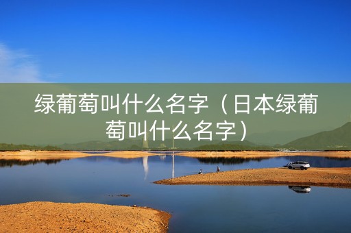 绿葡萄叫什么名字（日本绿葡萄叫什么名字）