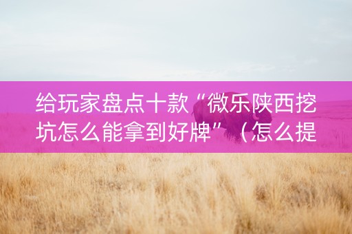 给玩家盘点十款“微乐陕西挖坑怎么能拿到好牌”（怎么提高胜率)