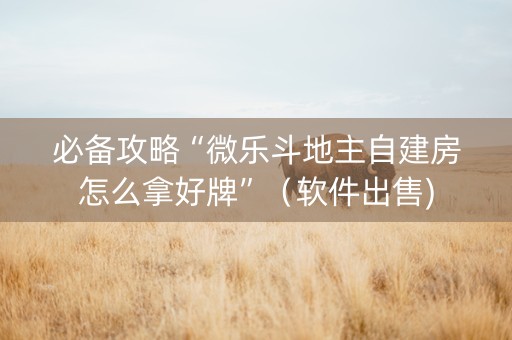 必备攻略“微乐斗地主自建房怎么拿好牌”（软件出售)