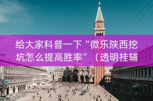 给大家科普一下“微乐陕西挖坑怎么提高胜率”（透明挂辅助器)