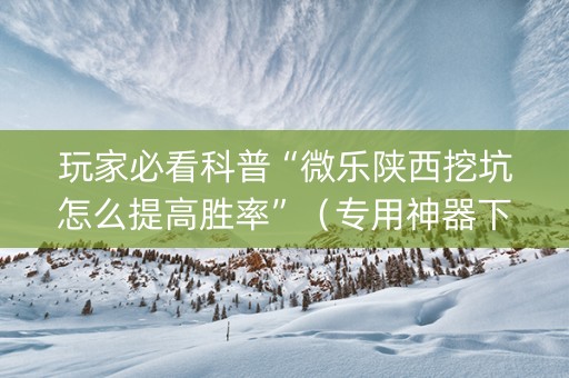 玩家必看科普“微乐陕西挖坑怎么提高胜率”（专用神器下载)