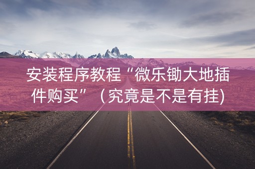 安装程序教程“微乐锄大地插件购买”（究竟是不是有挂)