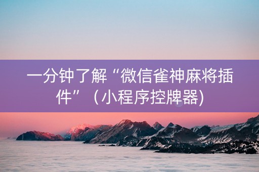一分钟了解“微信雀神麻将插件”（小程序控牌器)