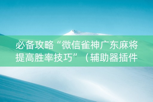 必备攻略“微信雀神广东麻将提高胜率技巧”（辅助器插件)