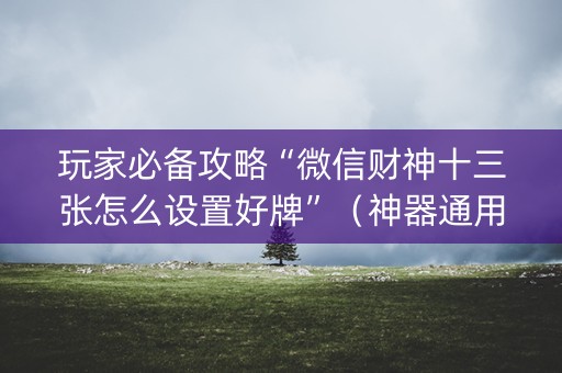 玩家必备攻略“微信财神十三张怎么设置好牌”（神器通用版)