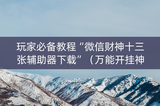 玩家必备教程“微信财神十三张辅助器下载”（万能开挂神器)