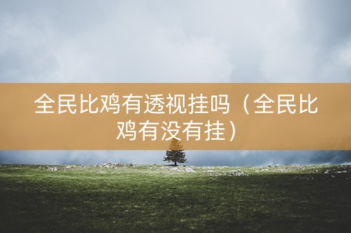 全民比鸡有透视挂吗（全民比鸡有没有挂）