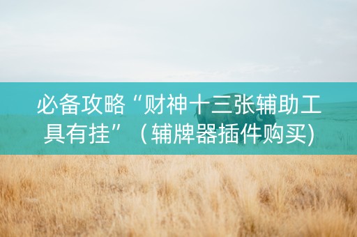必备攻略“财神十三张辅助工具有挂”（辅牌器插件购买)