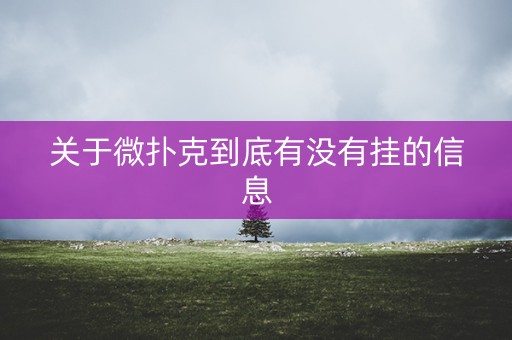 关于微扑克到底有没有挂的信息