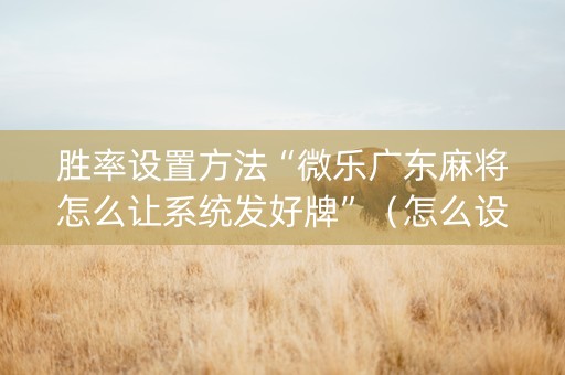 胜率设置方法“微乐广东麻将怎么让系统发好牌”（怎么设置才能赢)