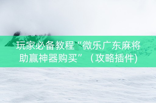 玩家必备教程“微乐广东麻将助赢神器购买”（攻略插件)