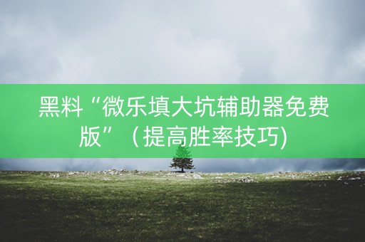 黑料“微乐填大坑辅助器免费版”（提高胜率技巧)