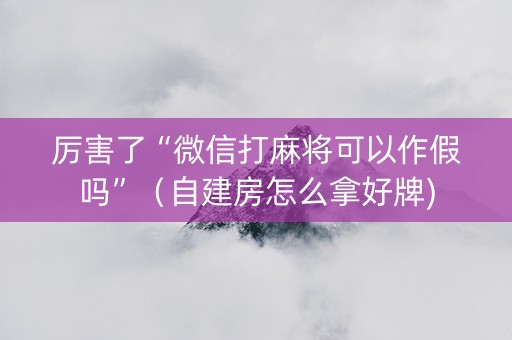 厉害了“微信打麻将可以作假吗”（自建房怎么拿好牌)